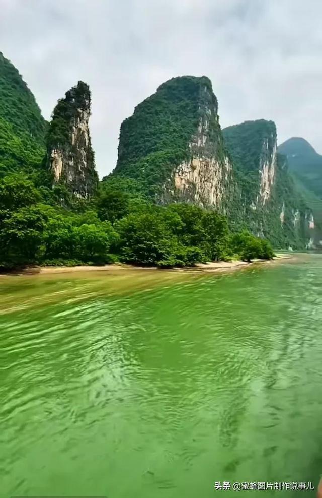 逃离香蕉农田
